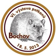 logo Bochov