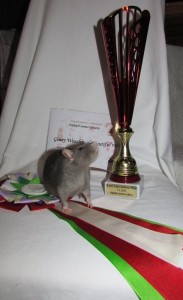 Ginny Weasley of Beautiful rats, Dagmar Šebková